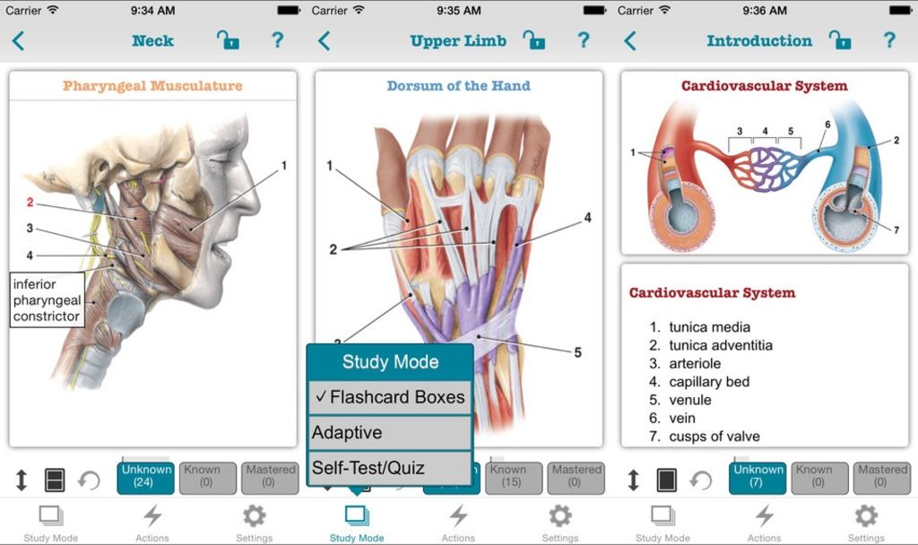 The Best Iphone Apps For Anatomy Students Appolicious